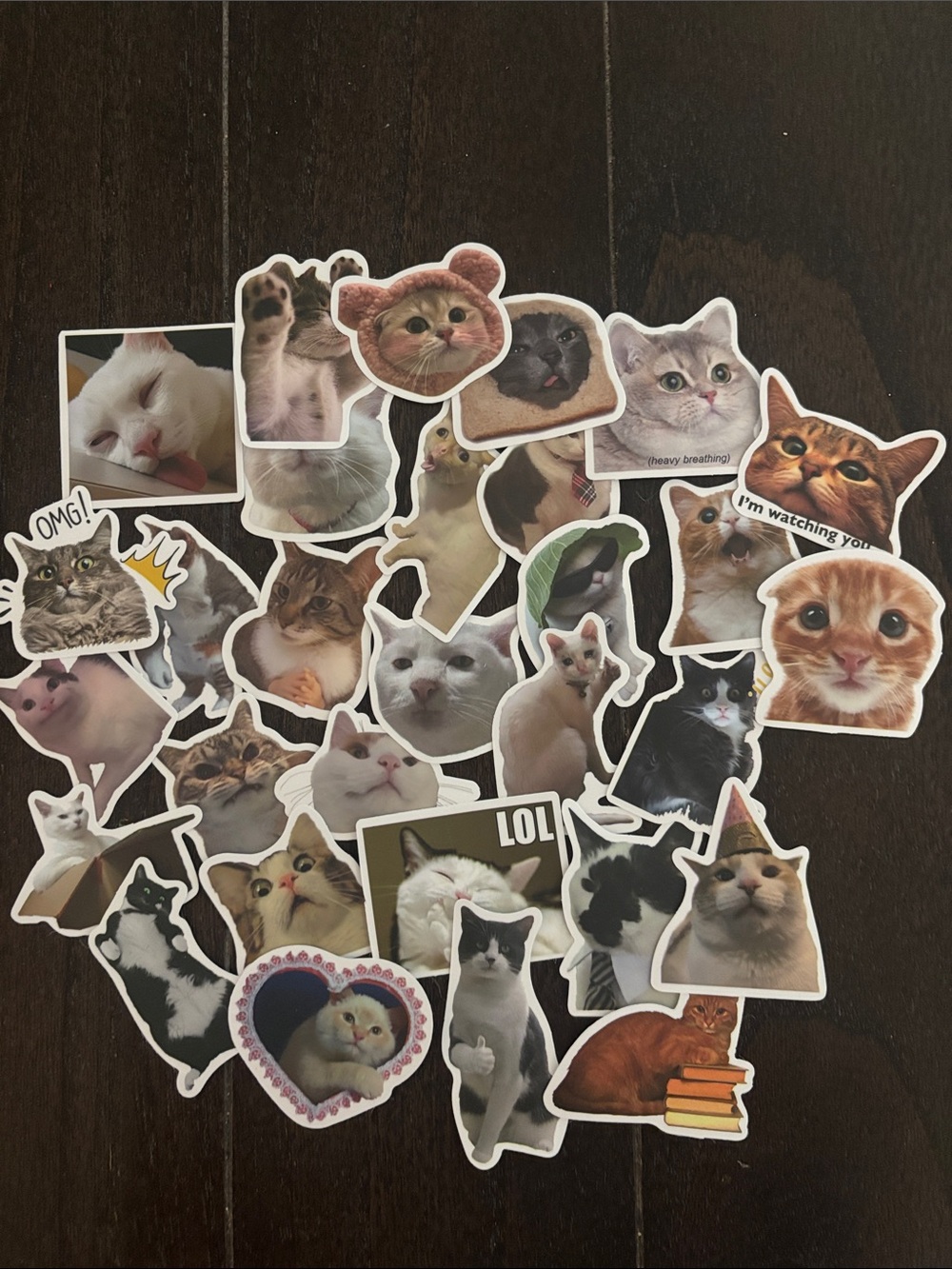 30 Pcs Funny Cat Meme Stickers Lot - Cute Vinyl Waterproof Stickers